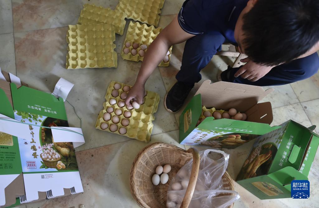至尊电玩城下载送分